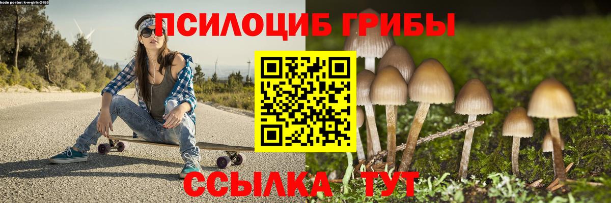 Псилоцибиновые грибы Cubensis  наркота  Гусев  Вход с VPN 